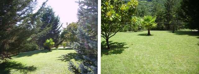 Garden maintenance