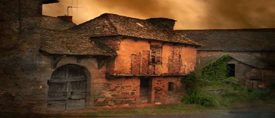 cutting your lawn grass 